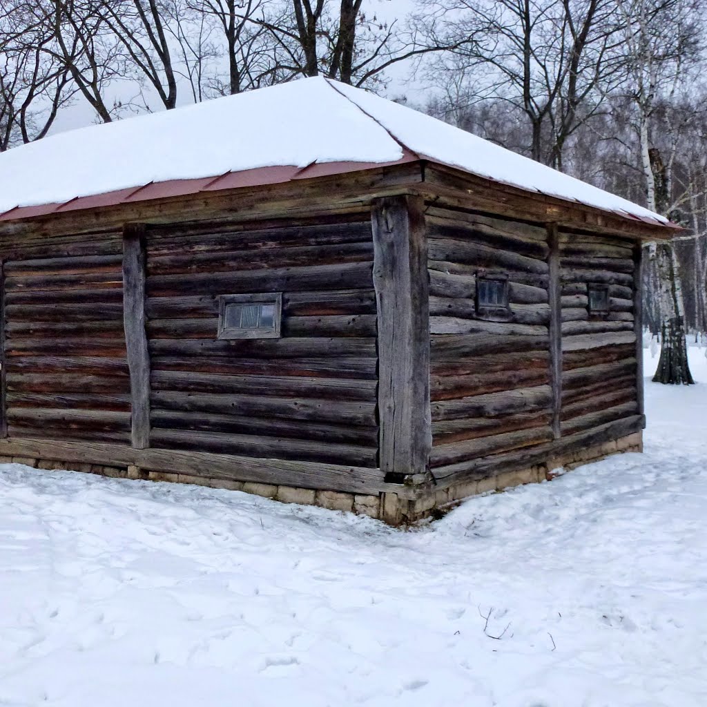 Проект ясной поляны