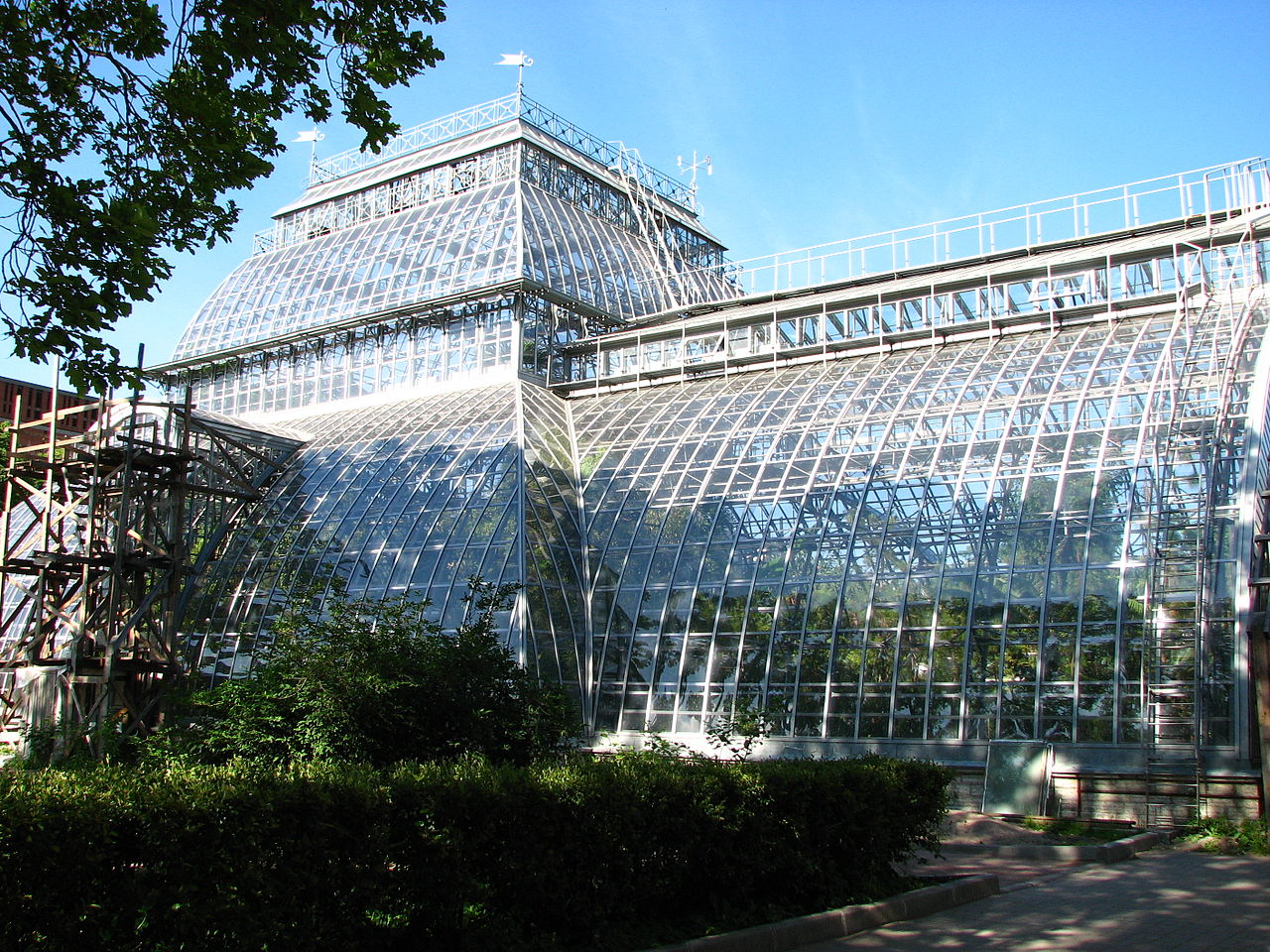 Оранжерея ботанического сада СПБ