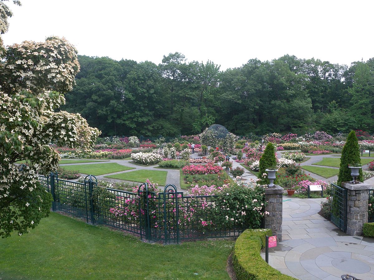 Реферат: Ботанический сад США