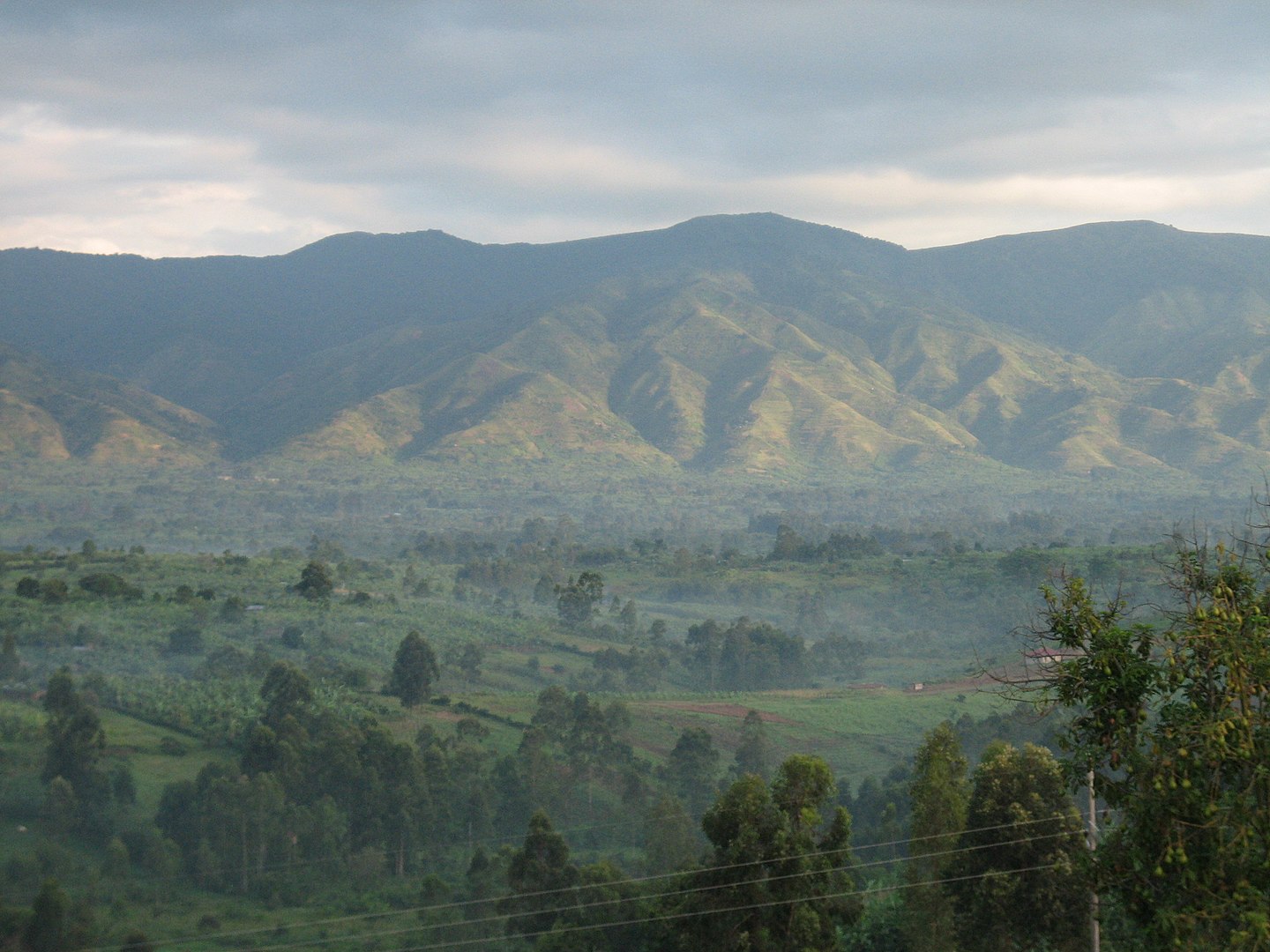 Горы Рувензори (Rwenzori Mountains)