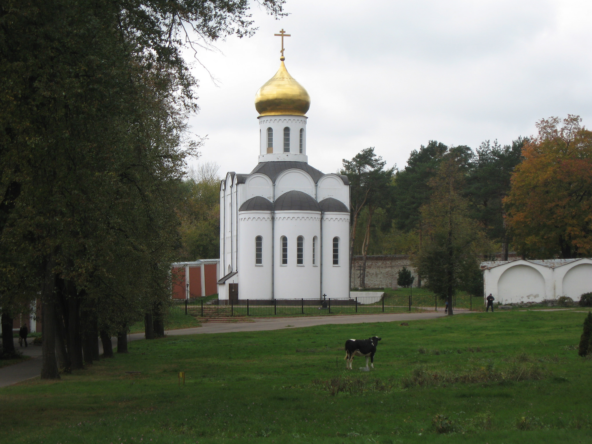 Монастырь Дмитрия Донского в Москве фото