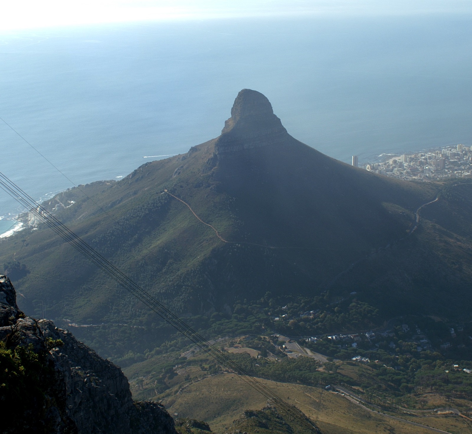 Lions head Кейптаун