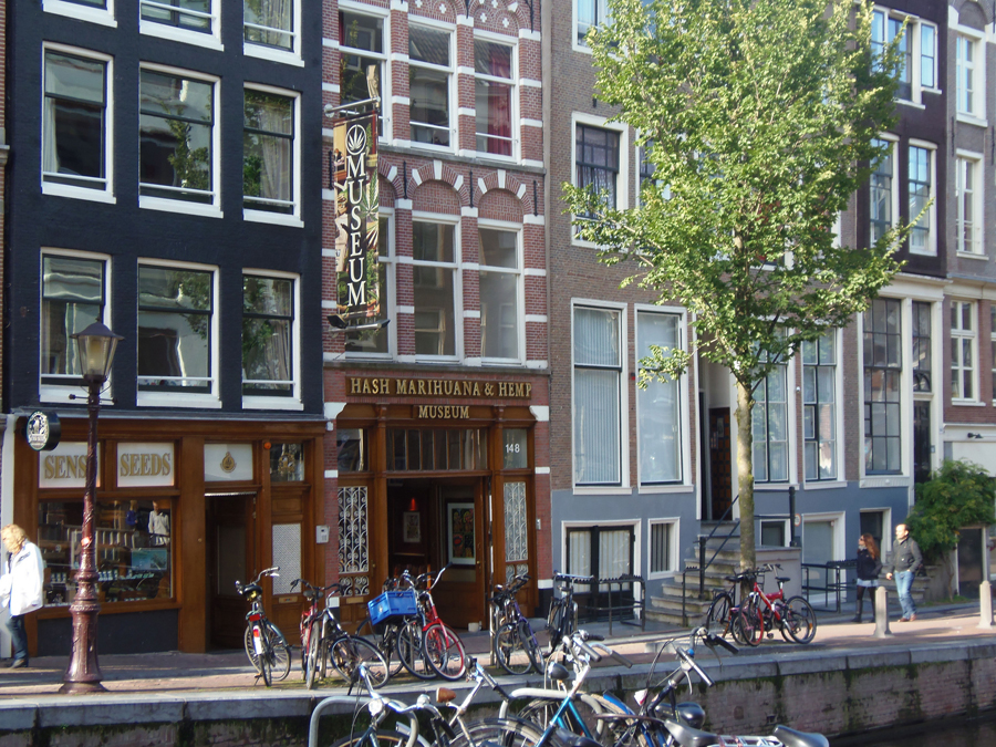 Амстердам музей конопли адрес фитогормоны для конопли