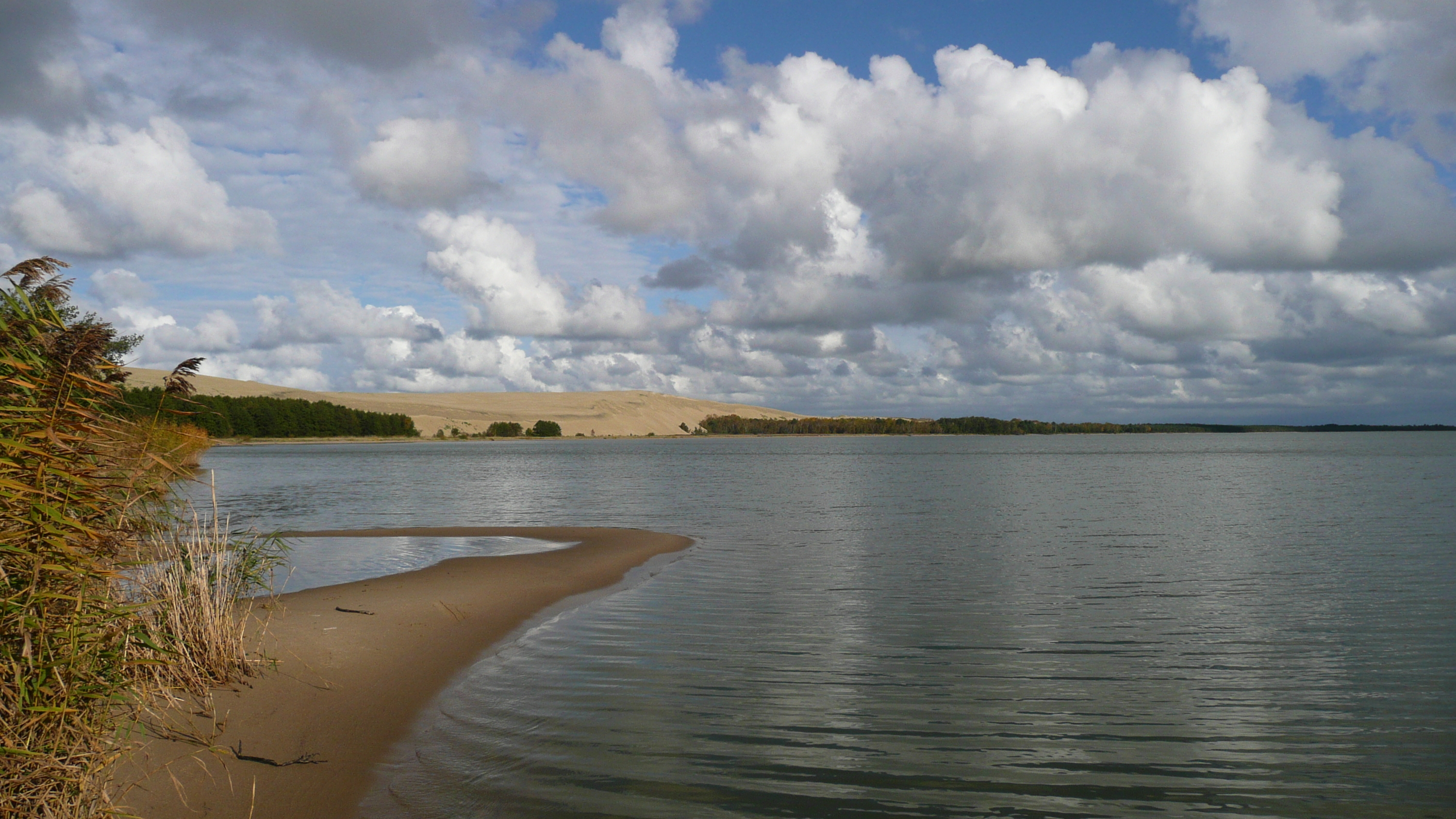 Озеро лебедь Калининградская область