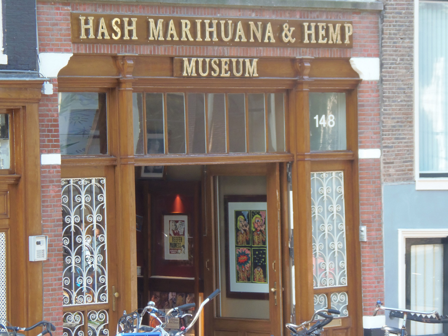 амстердам музей конопли
