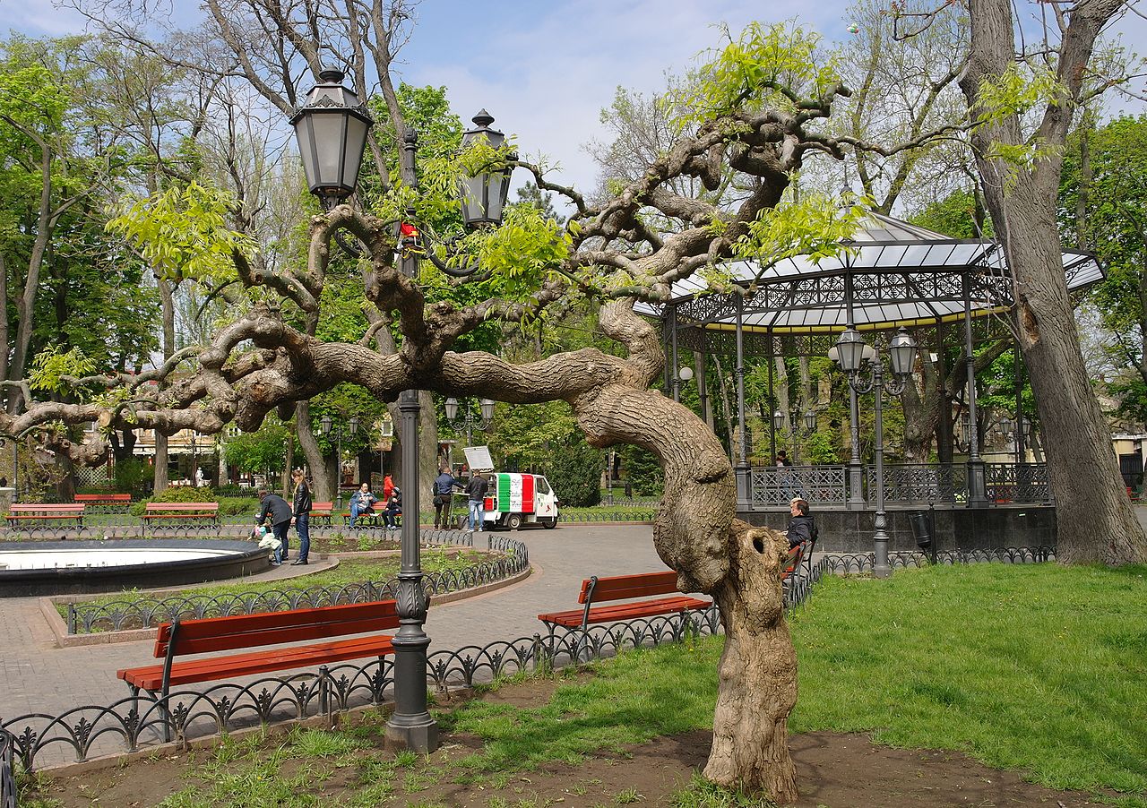 городской парк в одессе