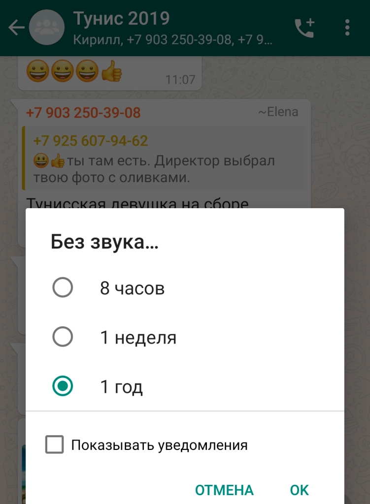 Можно ли посмотреть кто смотрел статус в whatsapp