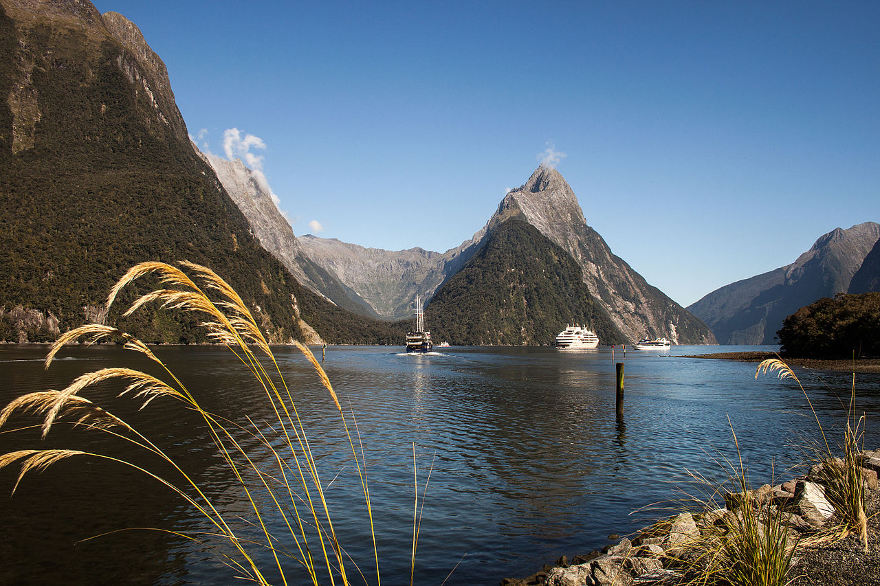 Dark Markets New Zealand