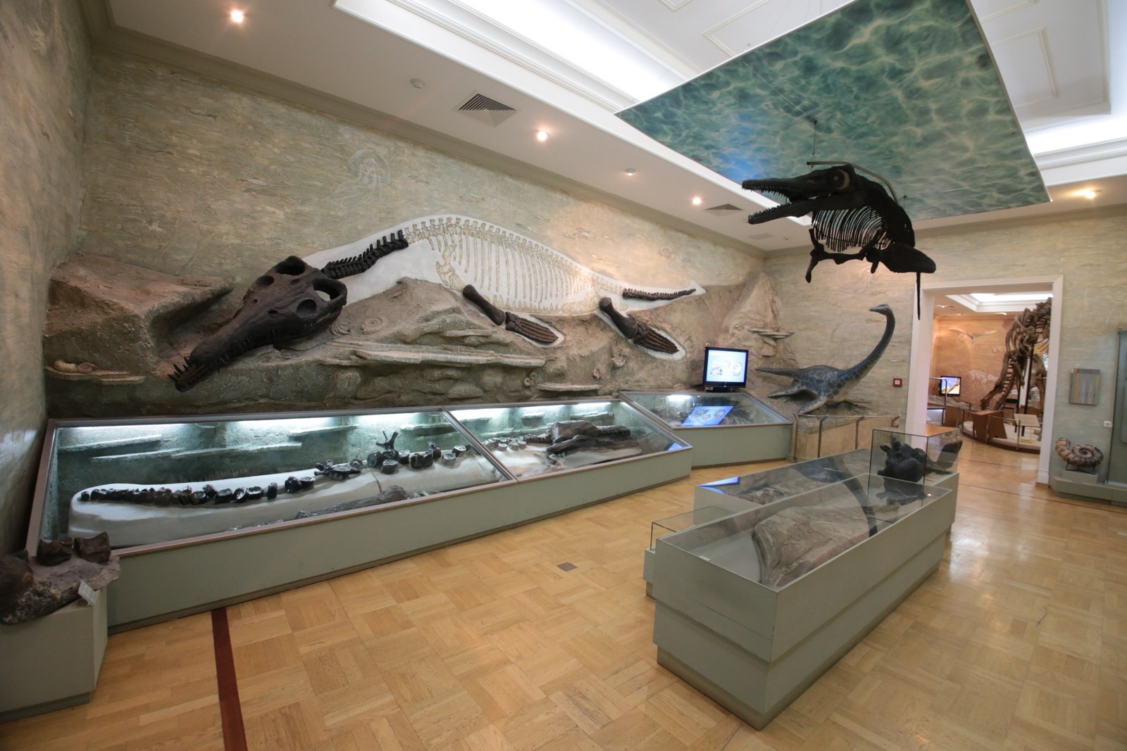 национальный музей естественной истории