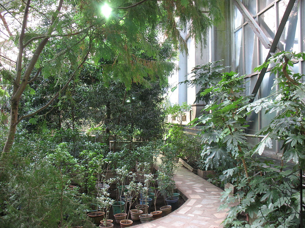 Структура Центрального сибирского ботанического сада