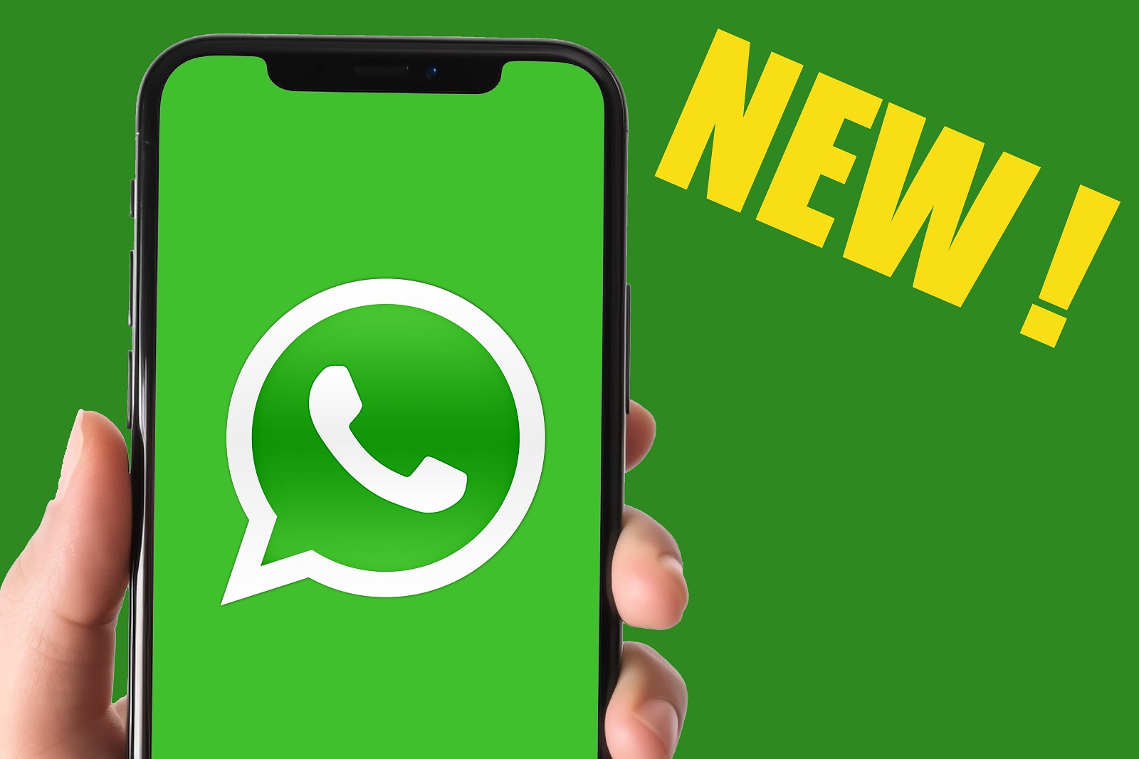 Что делать, если фото с WhatsApp не сохраняются на Android
