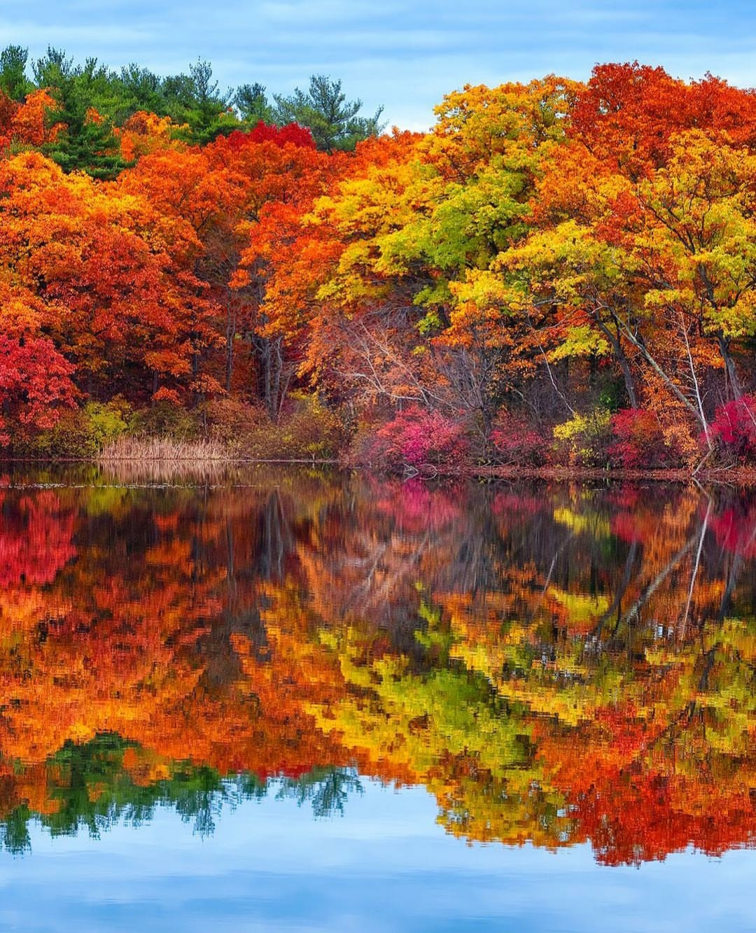 Осенняя красота фото
