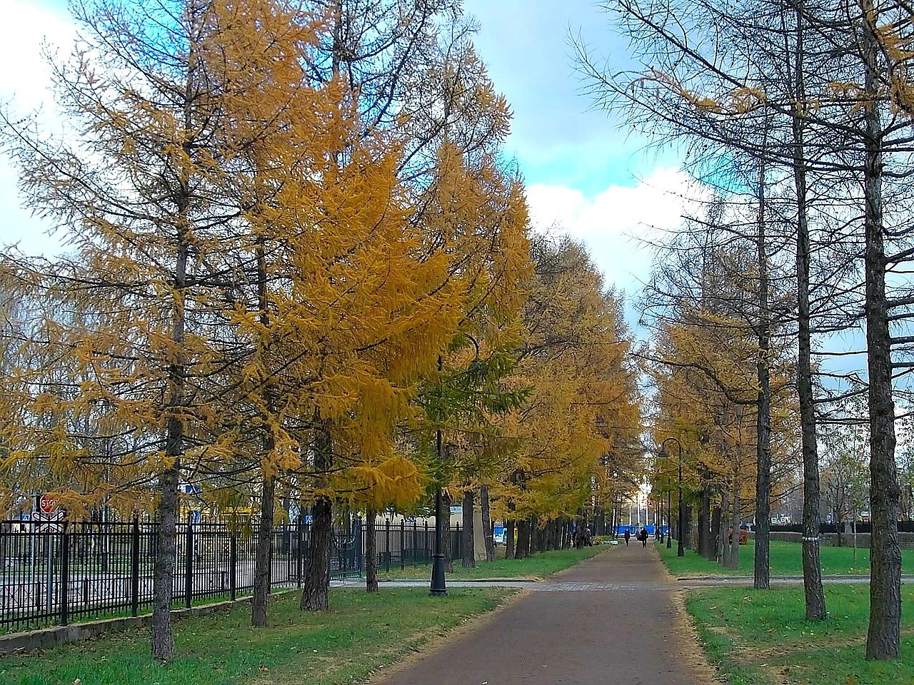 Московский парк Победы Санкт-Петербург осень