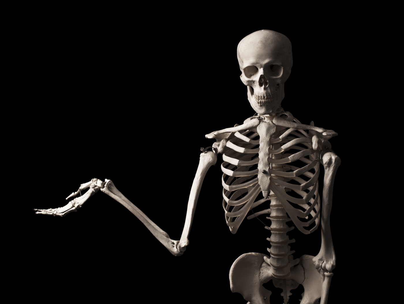 Кости человеческие на черном фоне