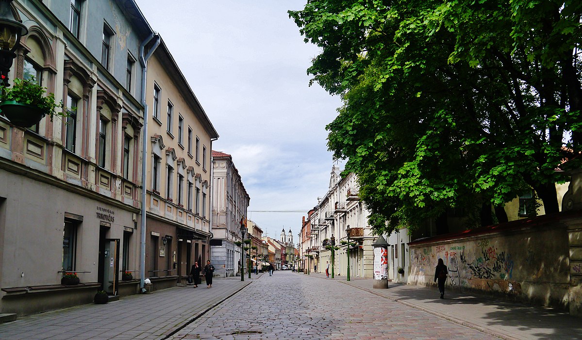 улицы домов в каунасе (100) фото