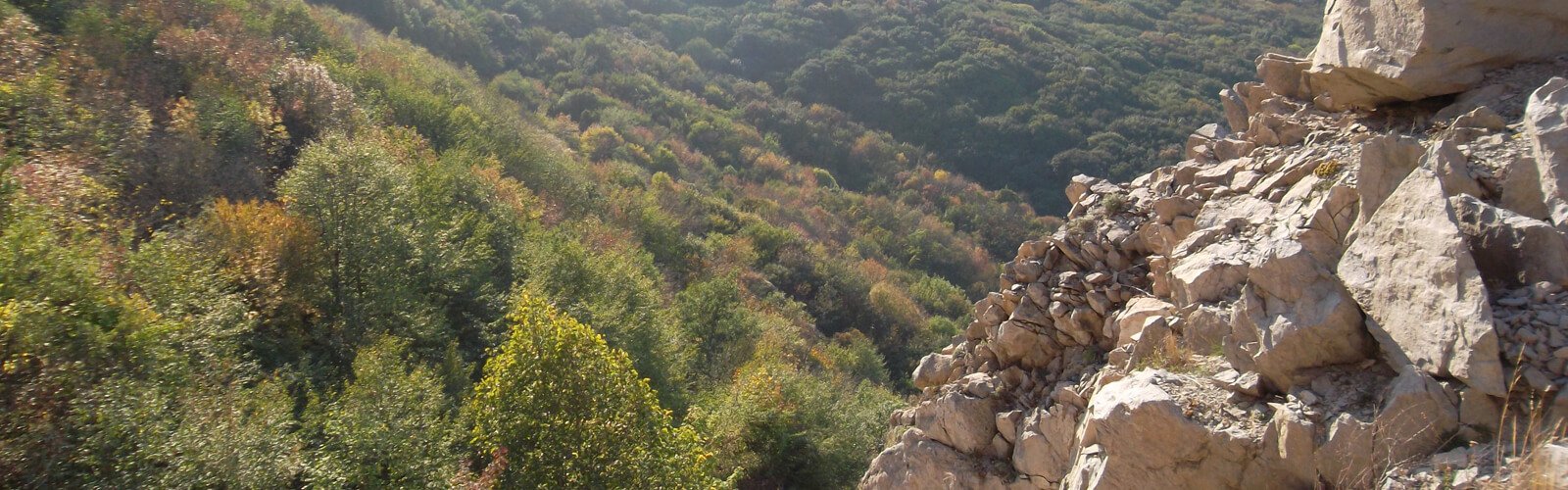 Погода В Минводах На Новый Год Погода В Минводах На Новый Год