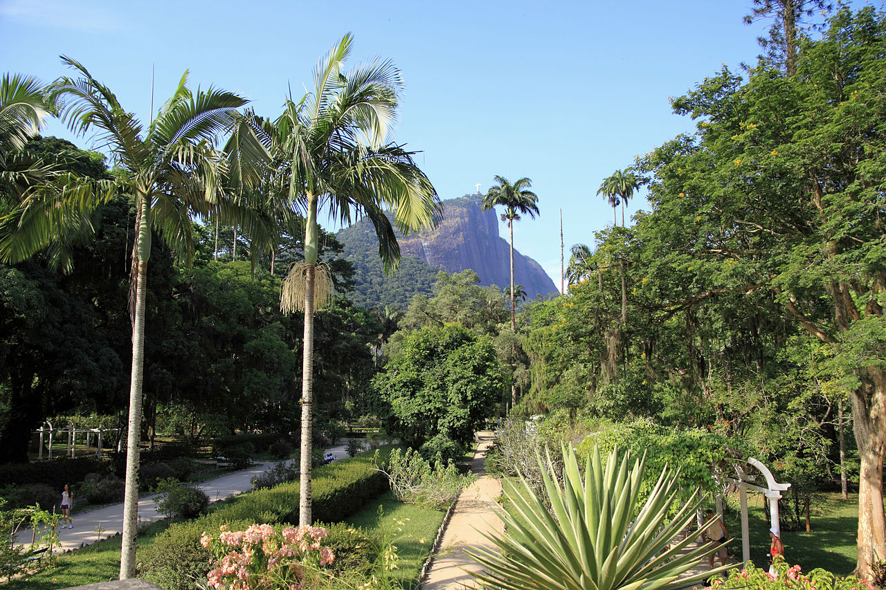 Ботанический сад в рио де жанейро бразилия