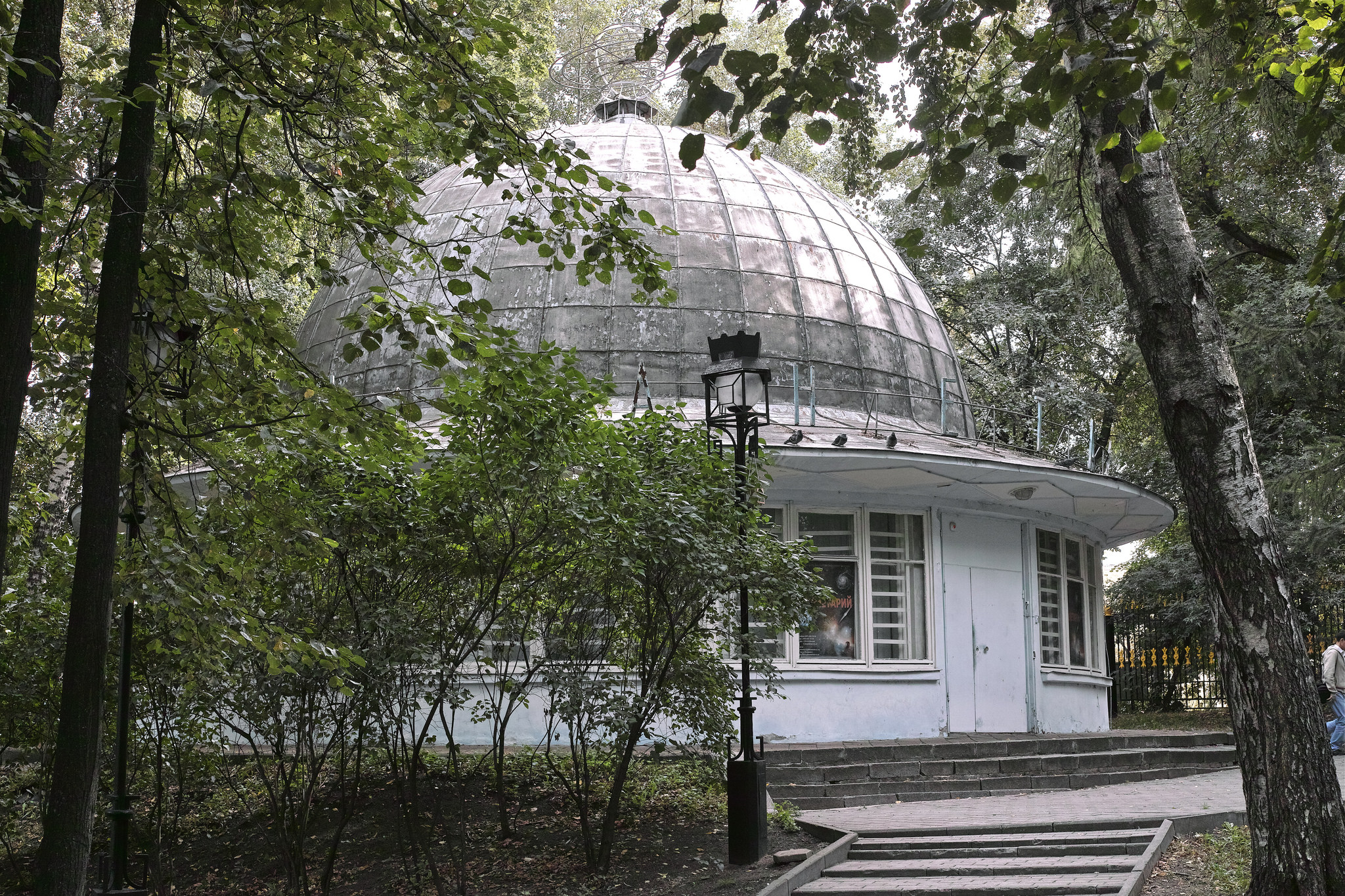 Екатерининский парк в москве сакура фото