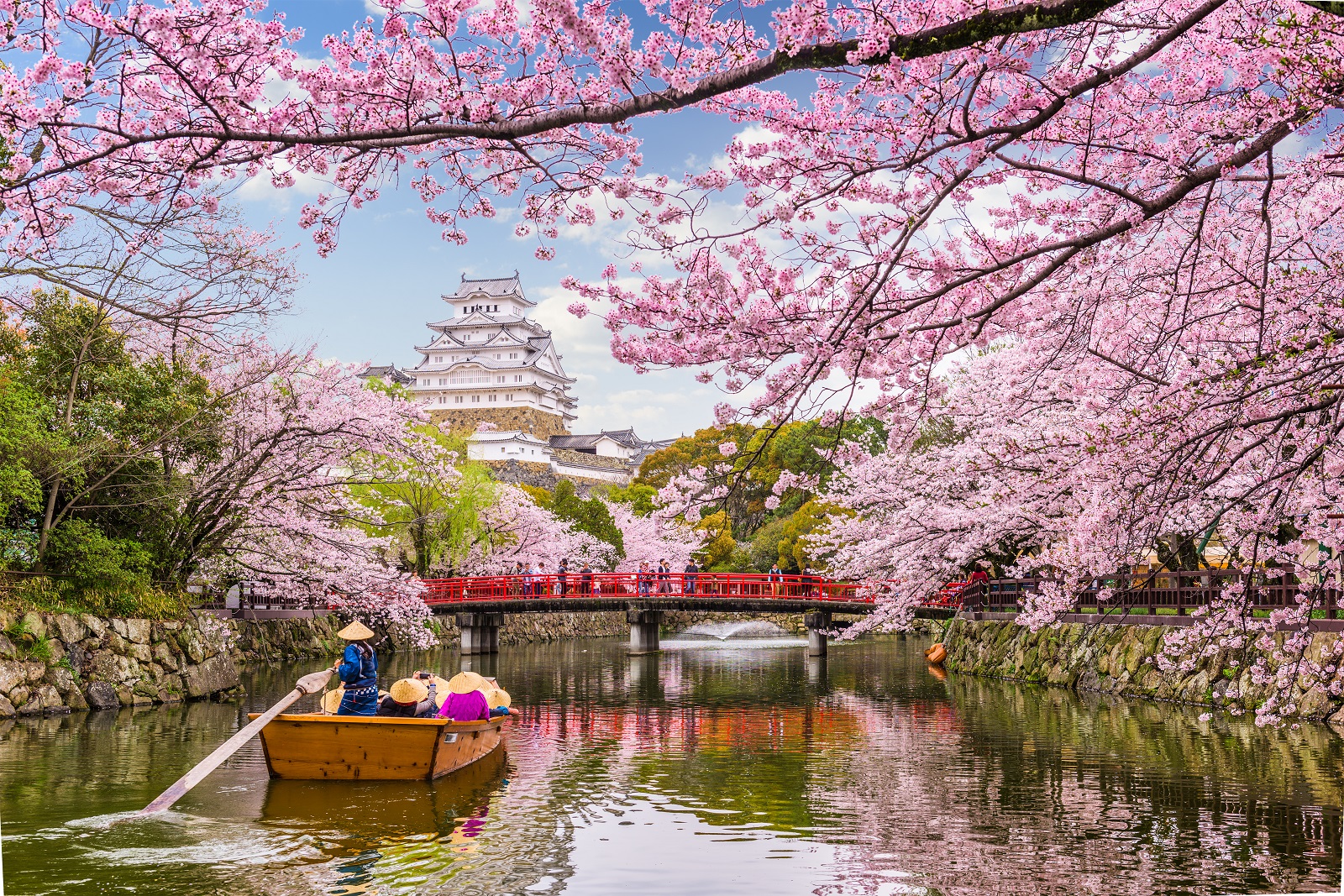 Япония пон. Цветение Сакуры в Токио. Киото Япония цветение Сакуры. Сеул Сакура. Йокогама Япония цветение Сакуры.