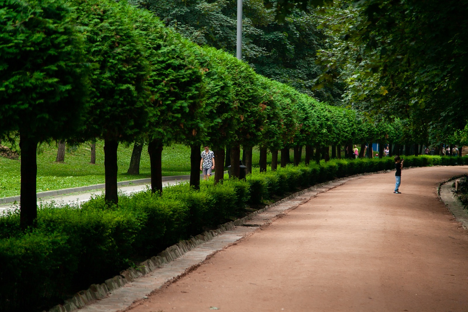 Центральный парк кисловодска фото