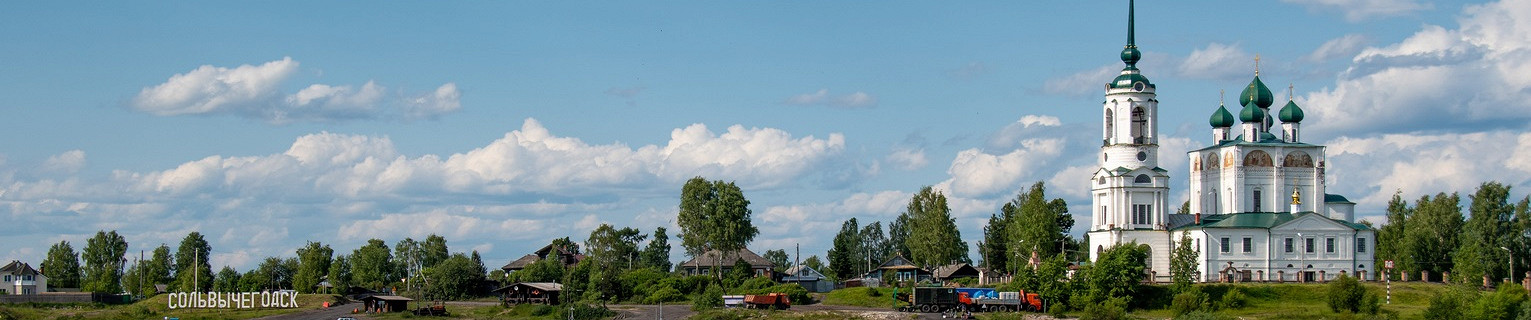 Панорамный вид на Сольвычегодск и Благовещенский собор, Архангельская область