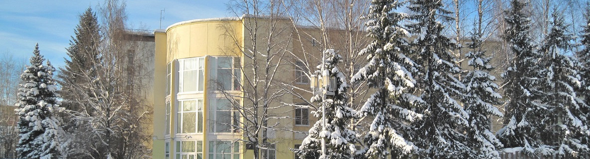 Сыктывкар в зимний день