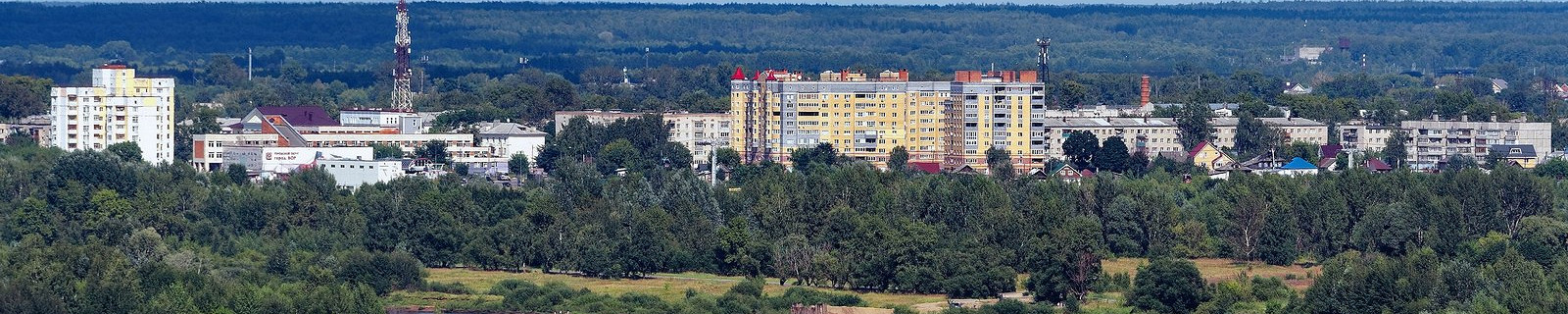 Вид на город Бор
