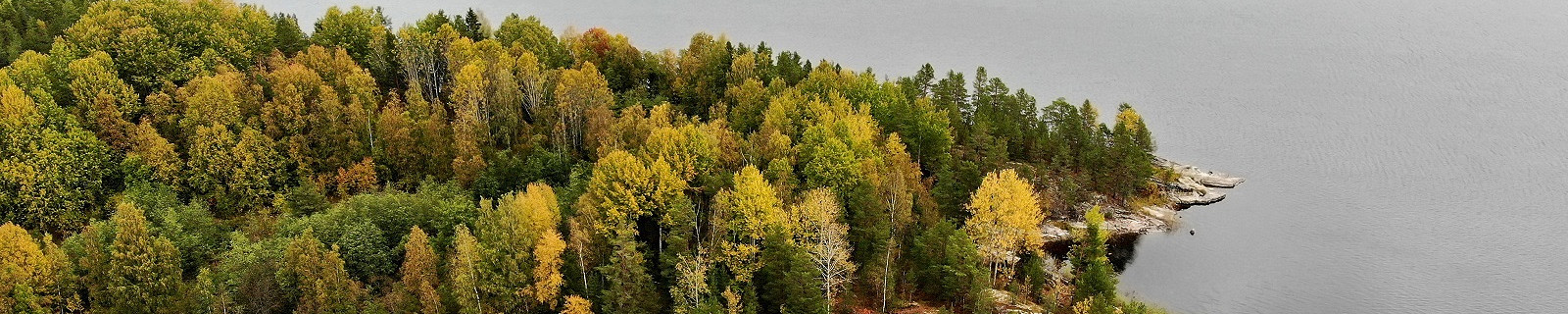 Ладожское озеро, вид, осень
