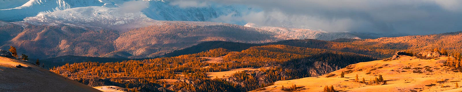 Курайская степь в горах Алтая