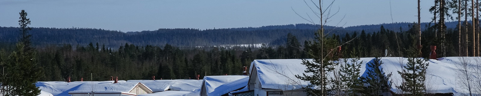Россия, Карелия, Костомукша. За домами густой лес