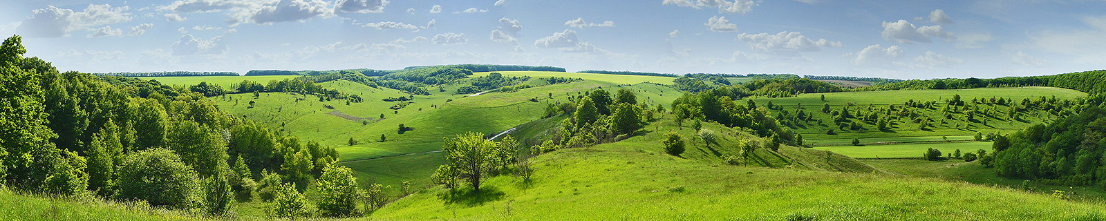 Белгородская область - Балка-Каменный-лог (1)