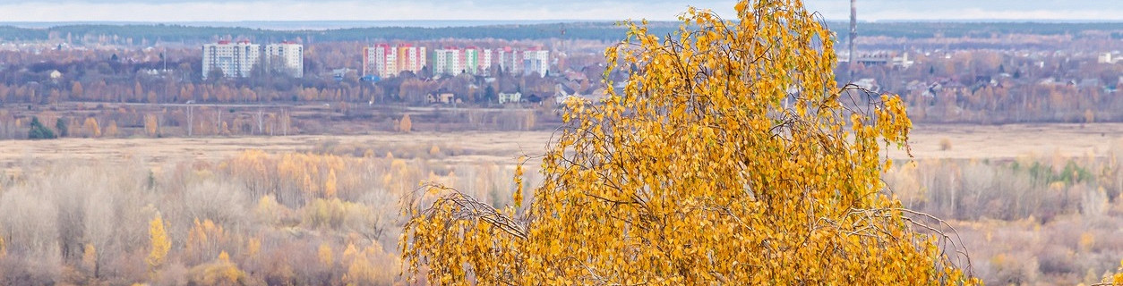 Город Бор на горизонте, река Волга, Россия