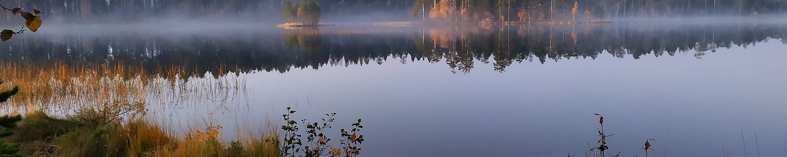 Город Костомукша, Карелия, Россия
