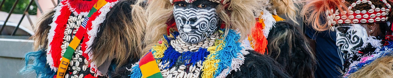 Сенегал, львы на улице
