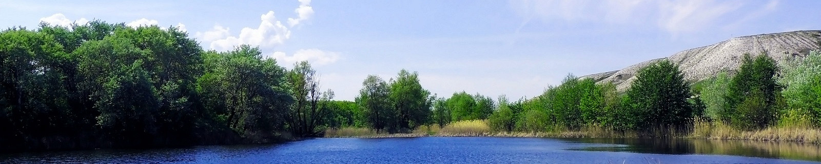 Река в Иловле