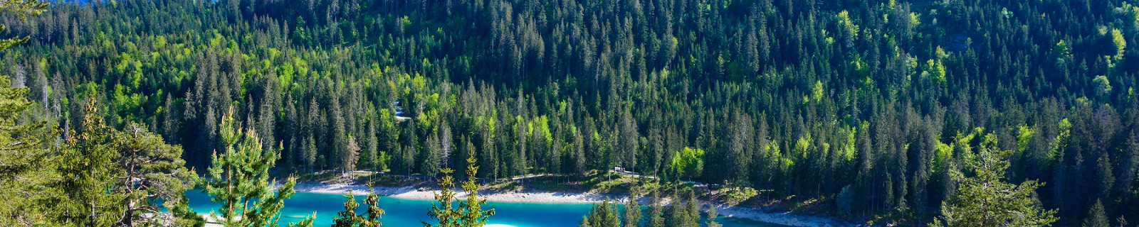 Флимс, Швейцария