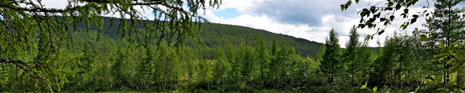 Река летом, Амурская область