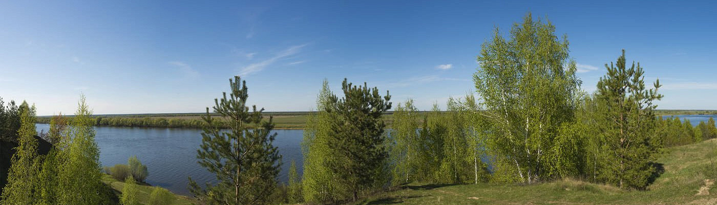 Скопинская нива рязанская область