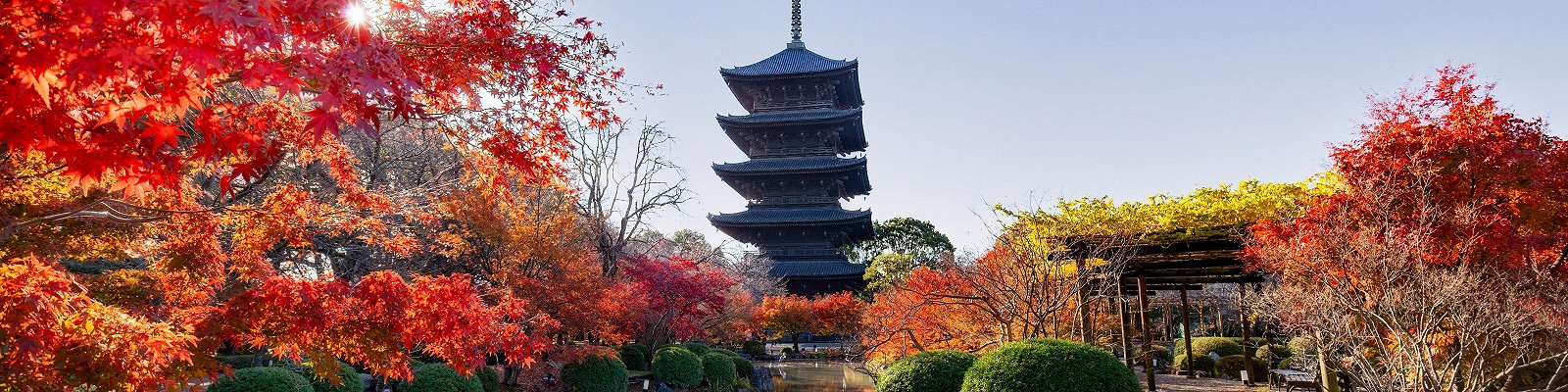 Японский сад. Модель совершенного мироустройства. Часть II