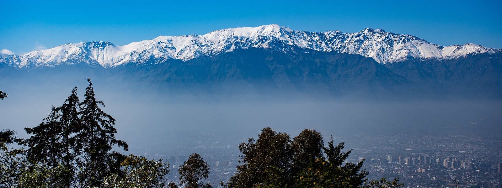 Журнал/Я шла своим путем: рассказ о поездке в Чили, которая превратилась в ПМЖ
