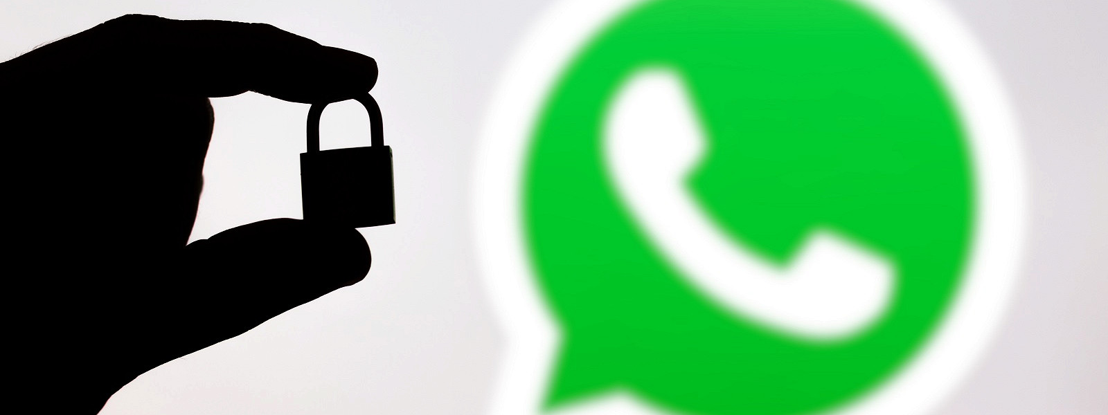 Журнал/Эксперты призывают не пользоваться WhatsApp: что не так?