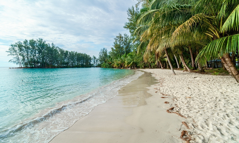 Журнал/10 рыбок, которые чаще всего встречаются в коралловых рифах Таиланда