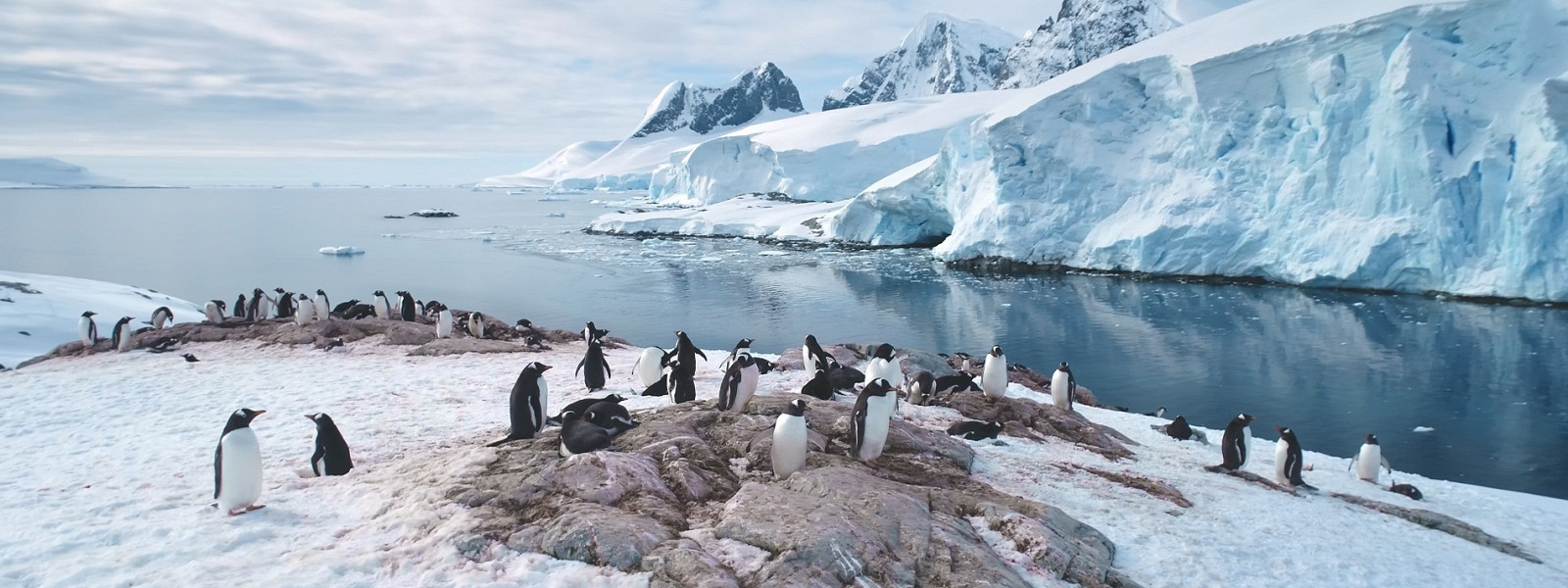 Журнал/10 фактов об Антарктиде, которые шокируют: неожиданные секреты самого холодного континента