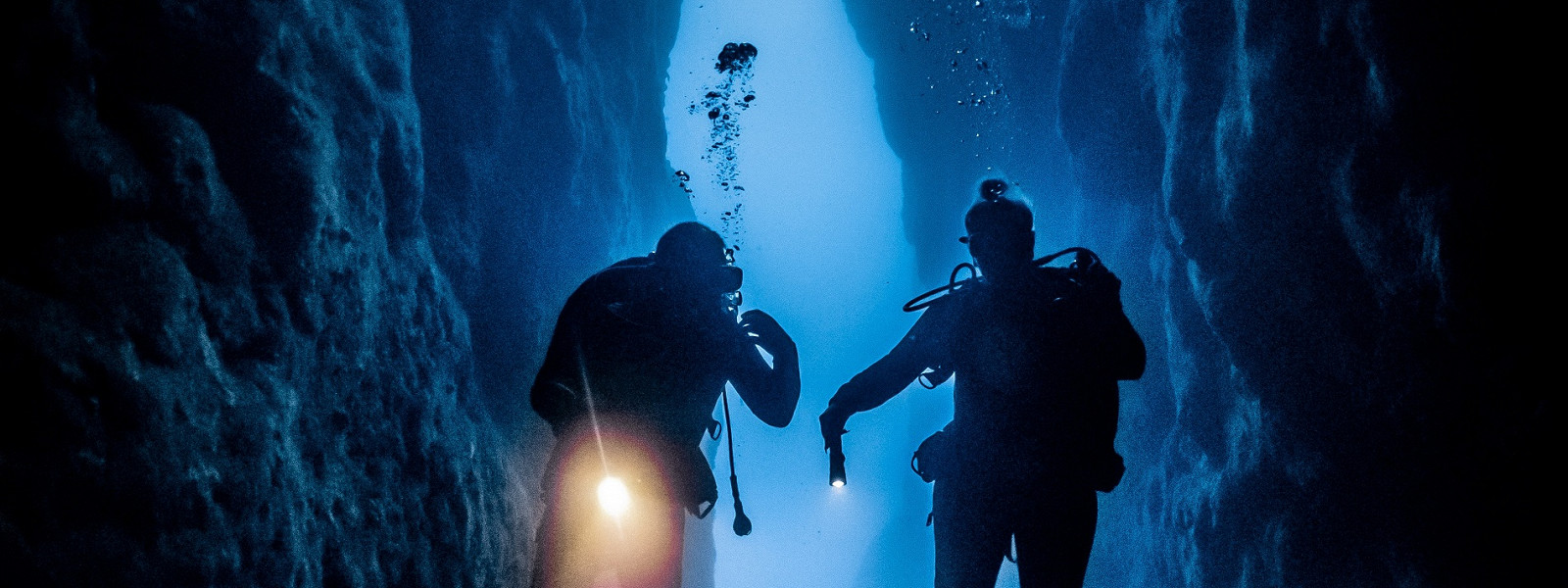 Журнал/6 ночных морских жителей Египта: кого можно встретить на ночном дайвинге в Красном море