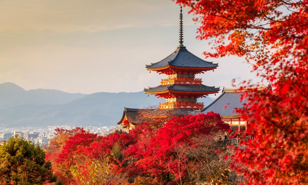 Журнал/Необычные правила поведения в Япония: о чем стоит помнить туристу