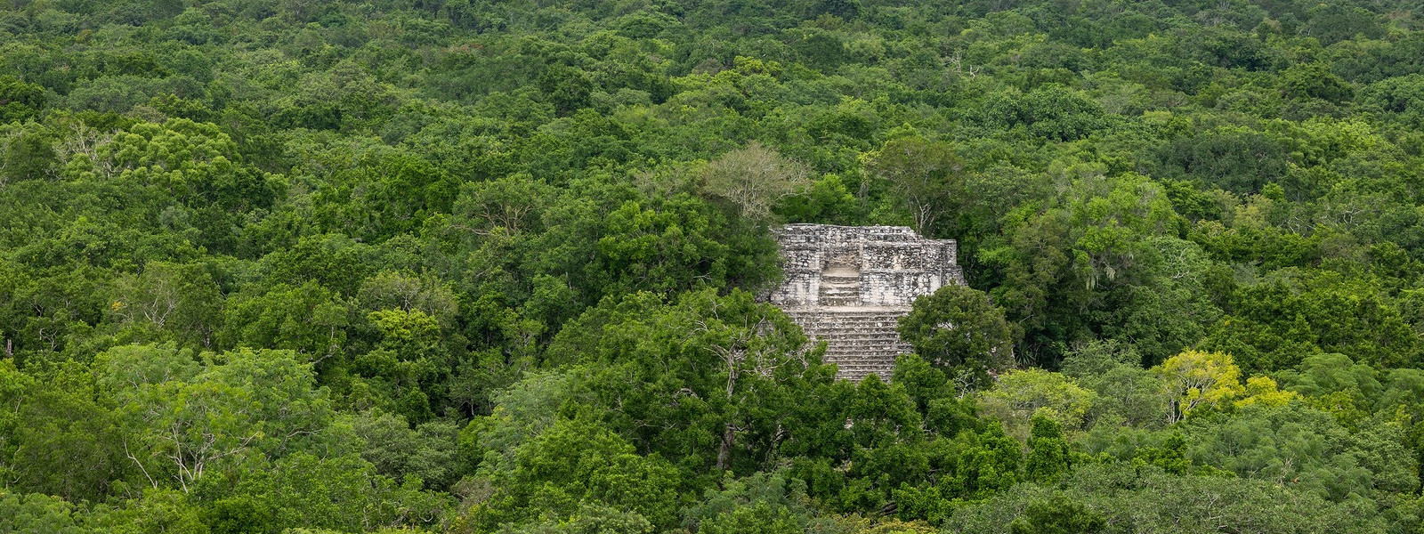 Журнал/Зачем майя играли в мяч, где проигравший умирал? История и тайны древней игры