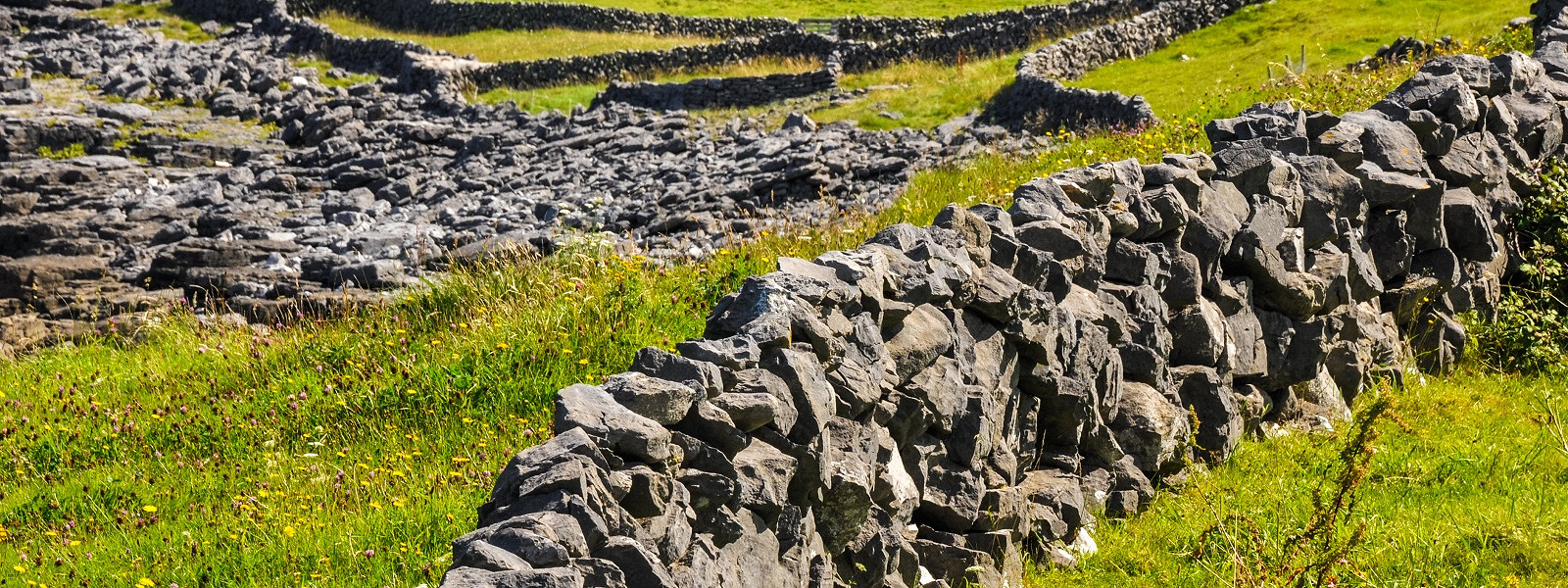Журнал/Кельтская мифология: история, боги и легенды древних кельтов