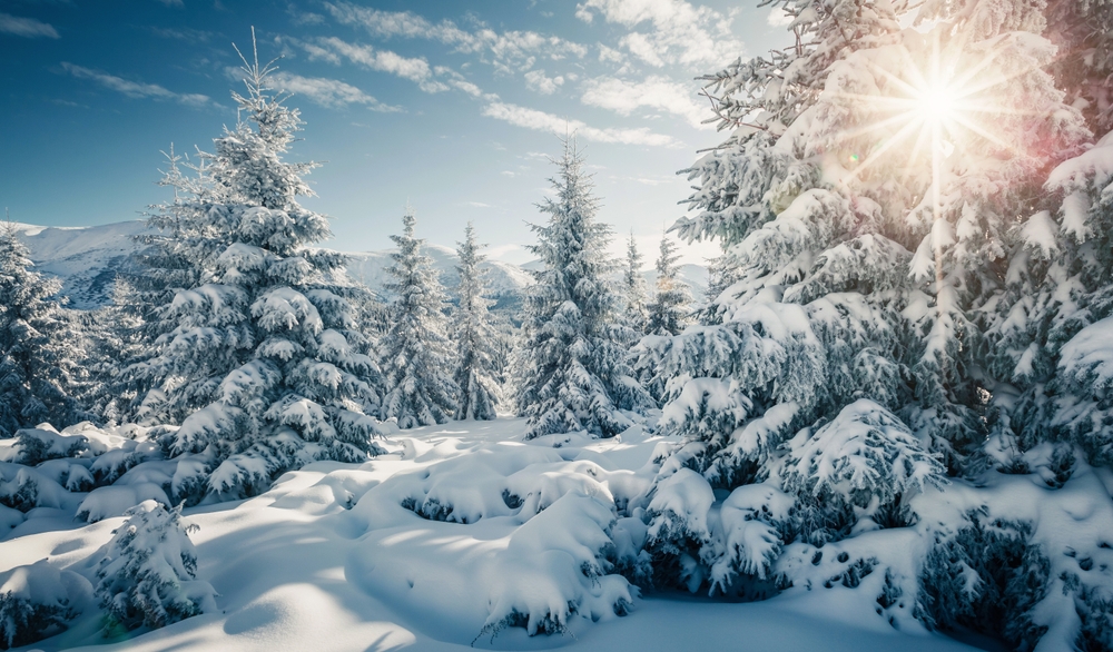 Журнал/Куда поехать, если хочется и снега, и солнца за одну поездку