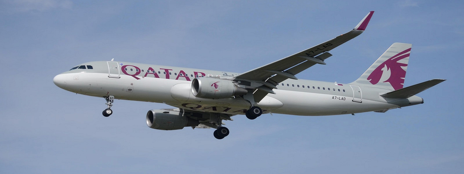 Журнал/Qatar Airways: провоз животных и спортивного инвентаря