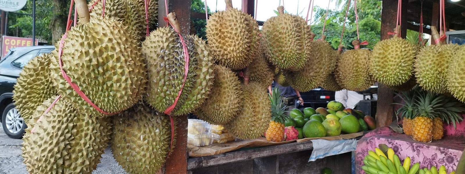 Журнал/Жизнь здесь учит замедляться: рассказ о переезде на Остров богов